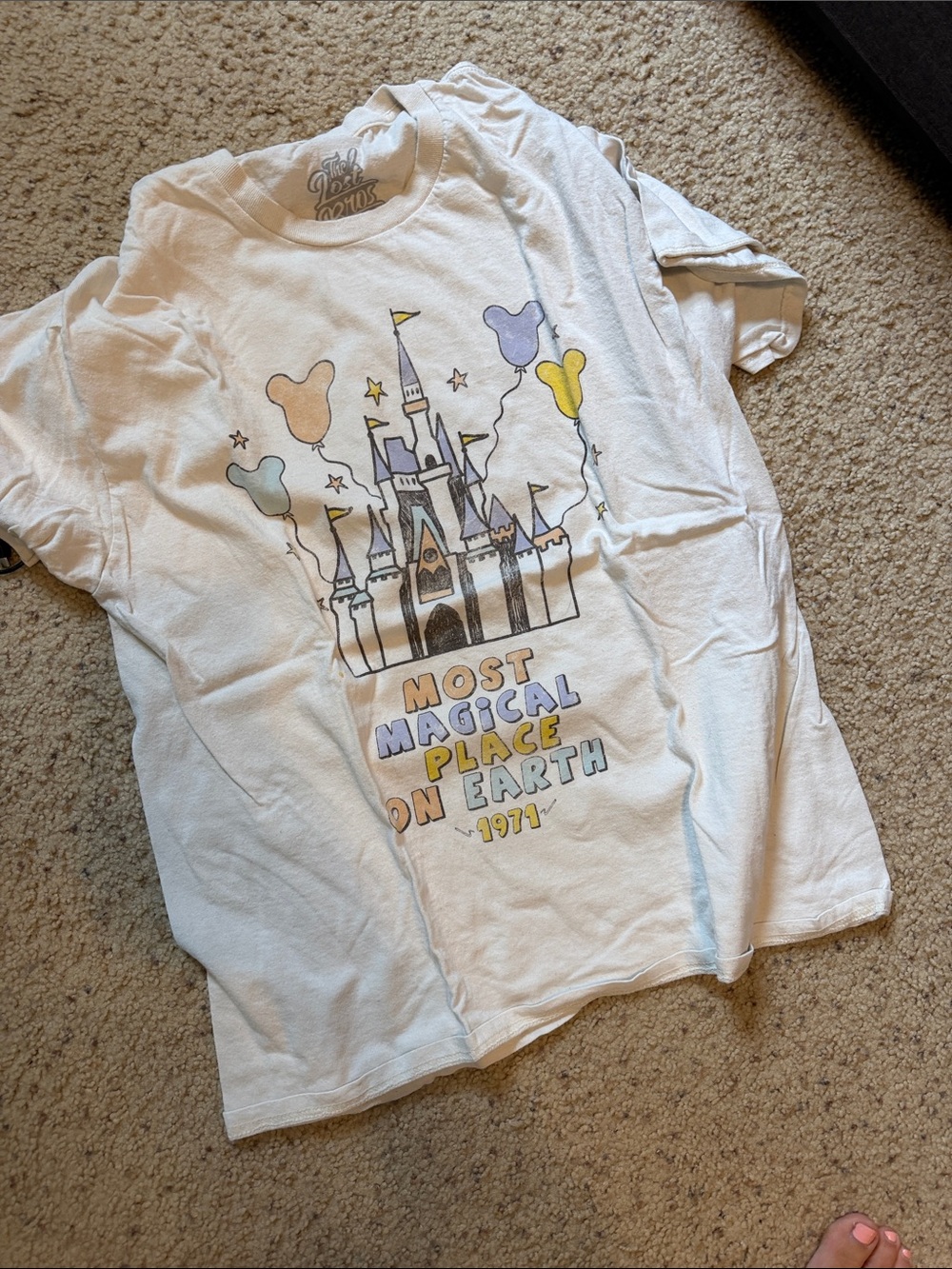 The lost bros magic kingdom shirt